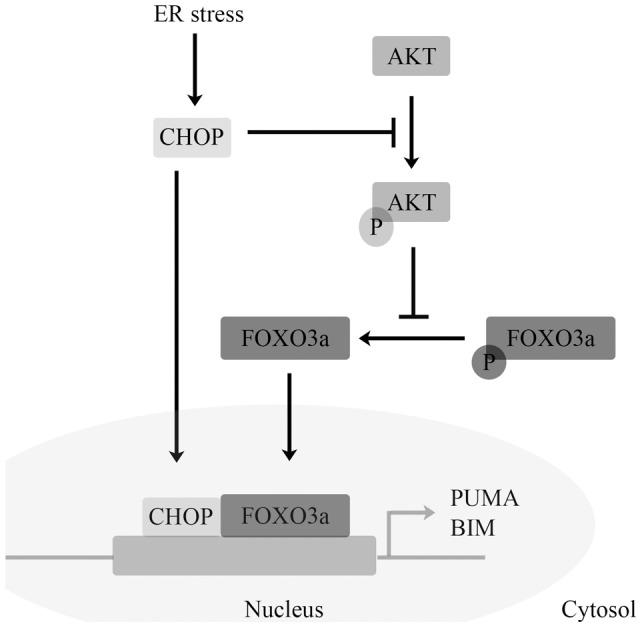 https://cdn.ncbi.nlm.nih.gov/pmc/blobs/56a6/3386252/4c8b68f99779/pone.0039586.g008.jpg