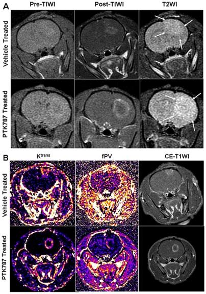 https://cdn.ncbi.nlm.nih.gov/pmc/blobs/56a7/2806917/3f7683ec956d/pone.0008727.g002.jpg