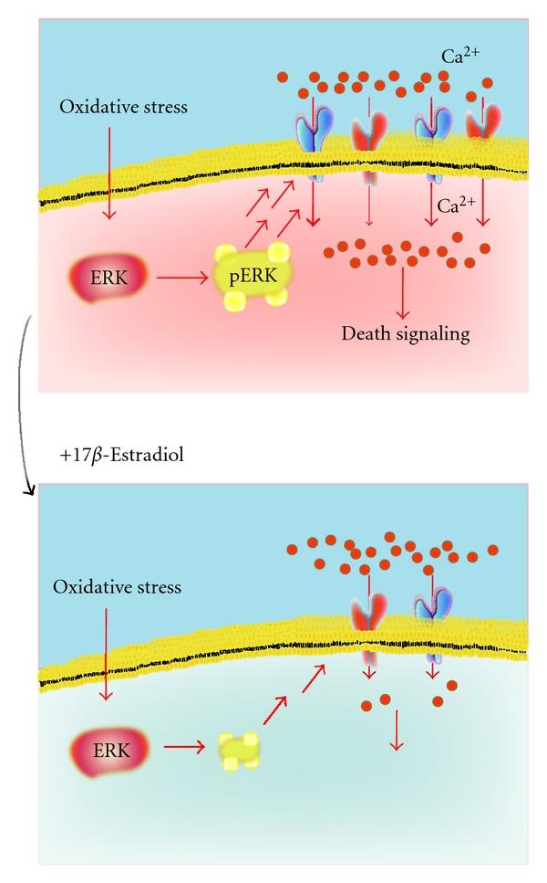 https://cdn.ncbi.nlm.nih.gov/pmc/blobs/56a9/3135156/c5ef246459b4/JT2011-405194.003.jpg