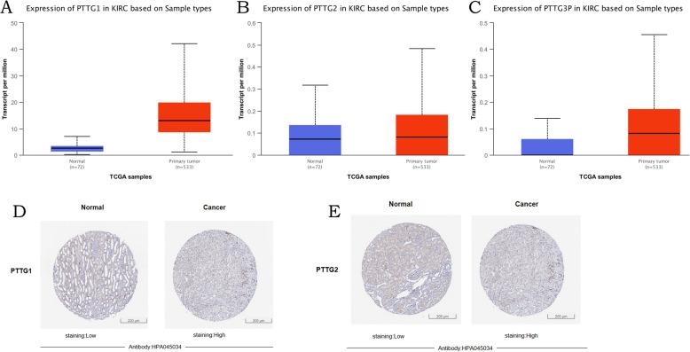 https://cdn.ncbi.nlm.nih.gov/pmc/blobs/56a9/8042860/ccb0c46ef889/12957_2021_2225_Fig2_HTML.jpg