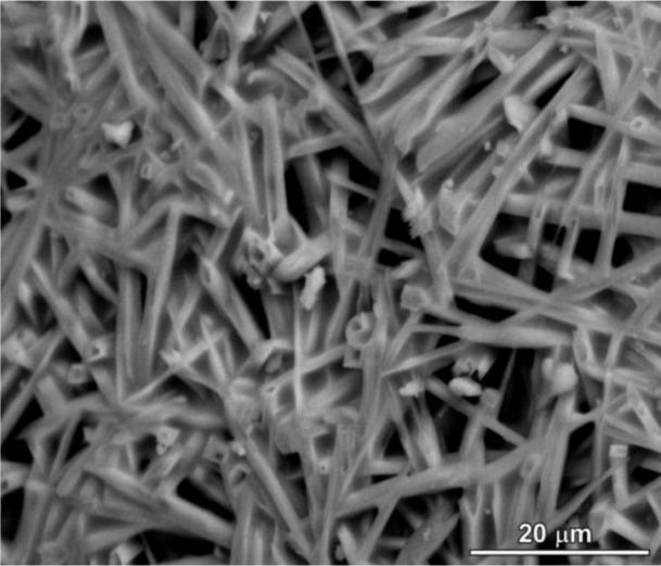 https://cdn.ncbi.nlm.nih.gov/pmc/blobs/56ab/5453254/43e73c74a5ce/materials-07-01927f4.jpg