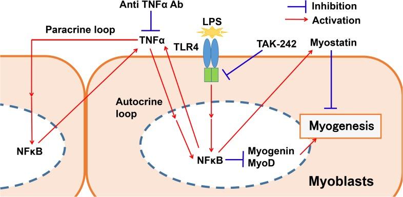 https://cdn.ncbi.nlm.nih.gov/pmc/blobs/56ac/5524356/a24b487a1816/pone.0182040.g009.jpg