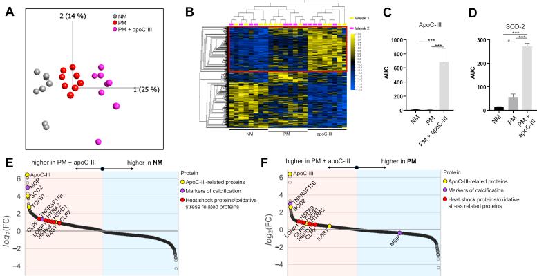https://cdn.ncbi.nlm.nih.gov/pmc/blobs/56ae/7948477/3fd9272e29fa/gr5.jpg