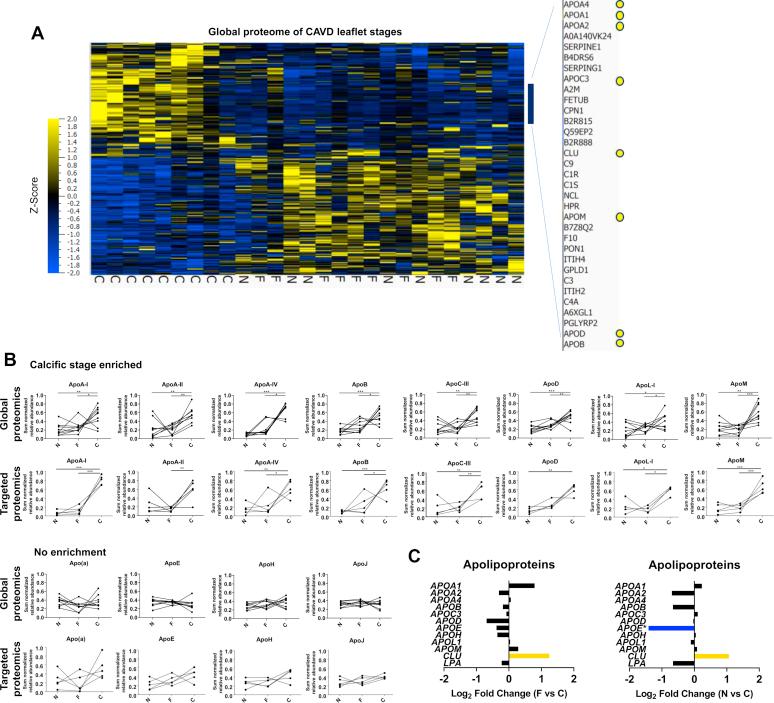 https://cdn.ncbi.nlm.nih.gov/pmc/blobs/56ae/7948477/506bd1d6e9b5/gr1.jpg