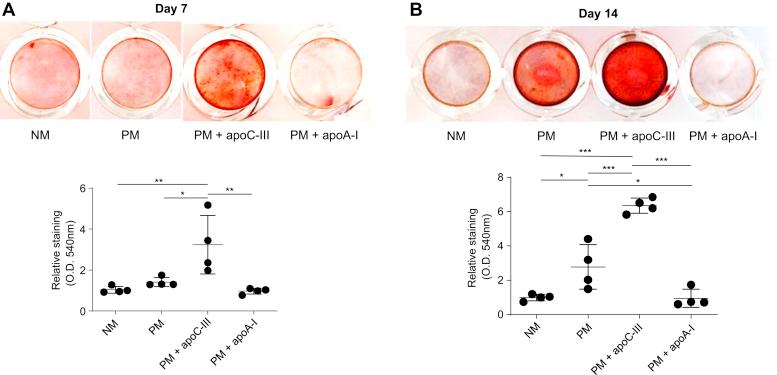 https://cdn.ncbi.nlm.nih.gov/pmc/blobs/56ae/7948477/b90637d1e274/gr4.jpg
