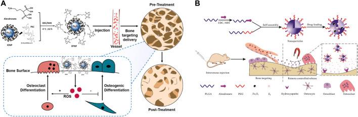 https://cdn.ncbi.nlm.nih.gov/pmc/blobs/56b1/9452849/6e98500ce99b/fbioe-10-937803-g009.jpg