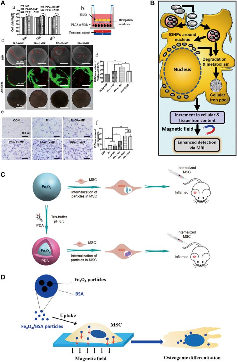 https://cdn.ncbi.nlm.nih.gov/pmc/blobs/56b1/9452849/afa6a82737e7/fbioe-10-937803-g008.jpg
