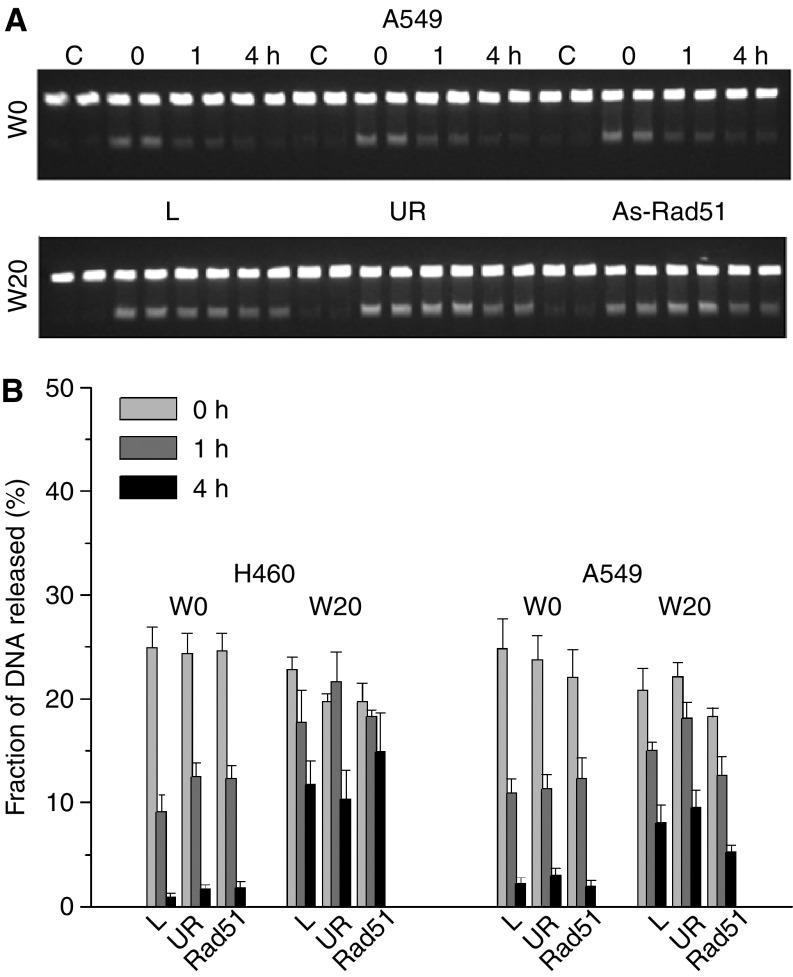 https://cdn.ncbi.nlm.nih.gov/pmc/blobs/56b2/2361929/e5e6d0afe0f8/92-6602457f6.jpg