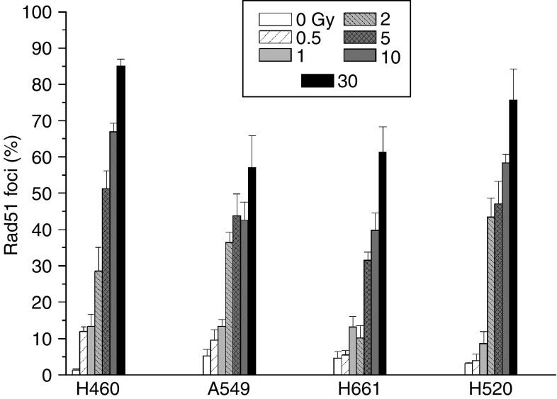 https://cdn.ncbi.nlm.nih.gov/pmc/blobs/56b2/2361929/e78524204cdf/92-6602457f1.jpg