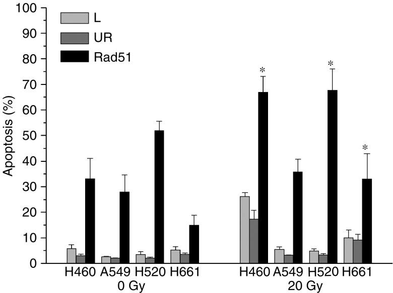 https://cdn.ncbi.nlm.nih.gov/pmc/blobs/56b2/2361929/f1aeedf3b3c0/92-6602457f8.jpg