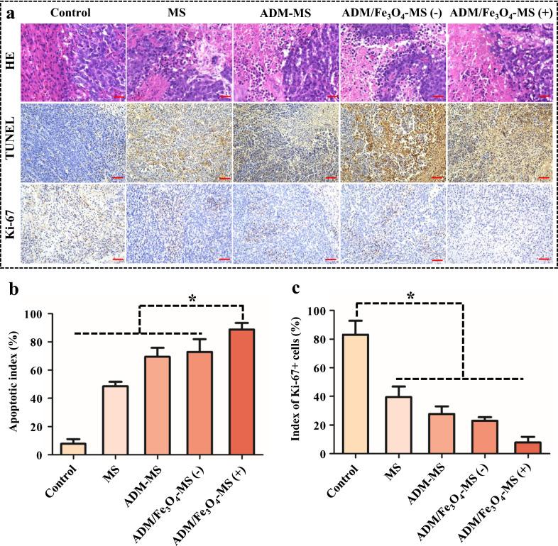 https://cdn.ncbi.nlm.nih.gov/pmc/blobs/56b2/8976998/aaefbef3cc50/12951_2022_1385_Fig6_HTML.jpg