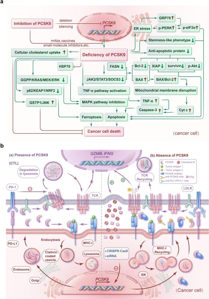 https://cdn.ncbi.nlm.nih.gov/pmc/blobs/56b3/10772138/4dc238cd86fe/41392_2023_1690_Fig3_HTML.jpg