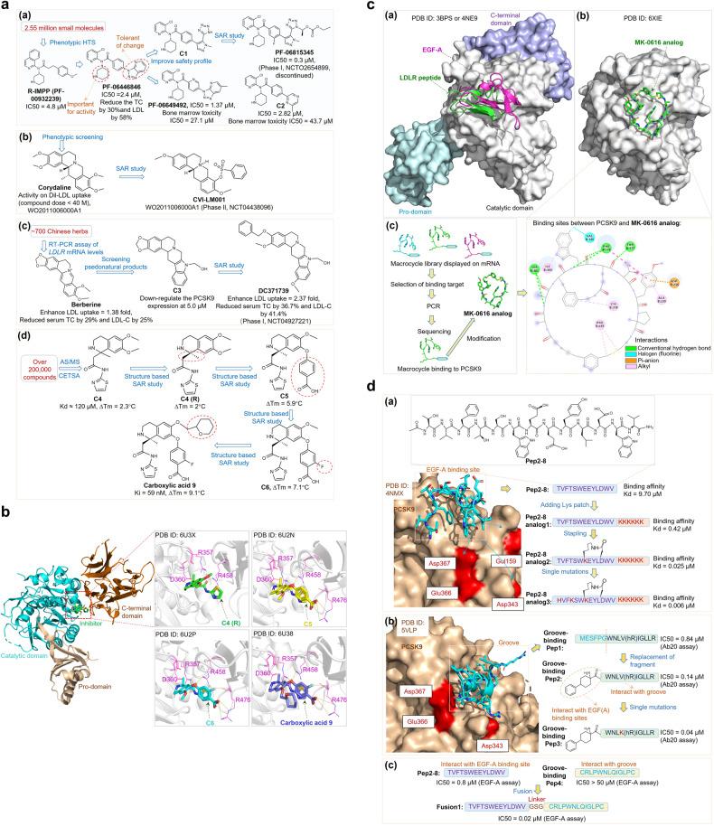 https://cdn.ncbi.nlm.nih.gov/pmc/blobs/56b3/10772138/a770c39331a0/41392_2023_1690_Fig5_HTML.jpg