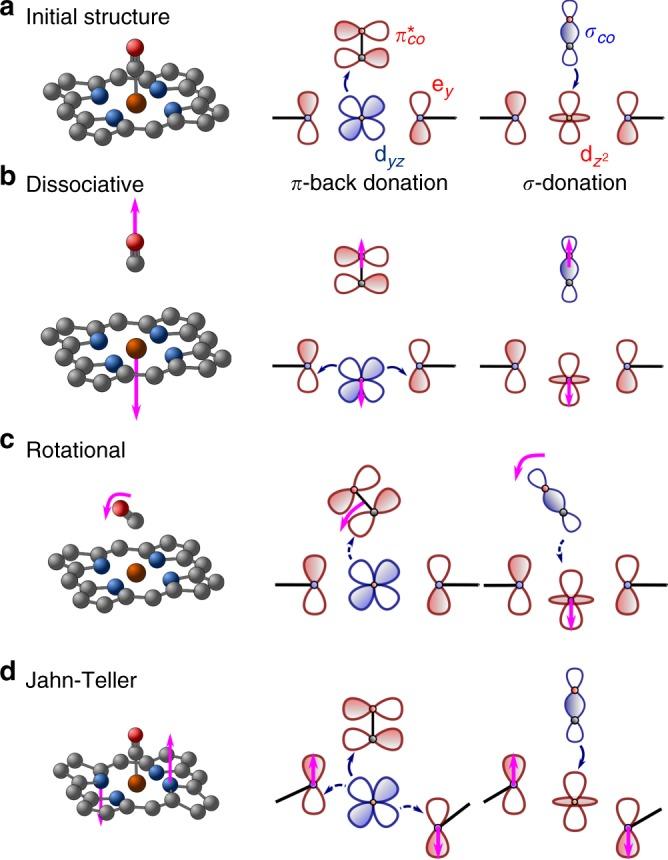 https://cdn.ncbi.nlm.nih.gov/pmc/blobs/56b3/6206034/facd1286e998/41467_2018_6615_Fig3_HTML.jpg