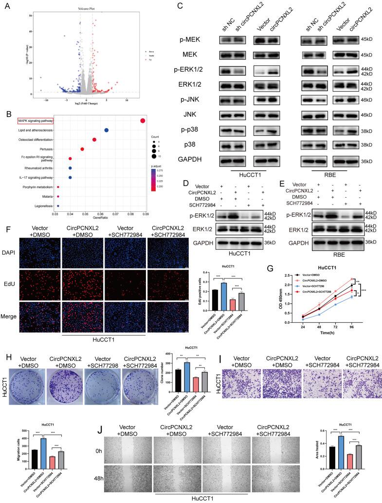 https://cdn.ncbi.nlm.nih.gov/pmc/blobs/56b5/10873941/77f3fffc33ac/12943_2024_1950_Fig4_HTML.jpg