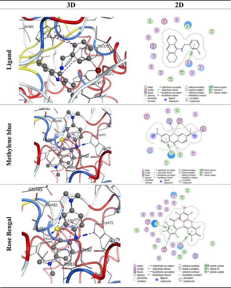 https://cdn.ncbi.nlm.nih.gov/pmc/blobs/56b8/12106624/9d83574b1fb9/41598_2025_3519_Fig4_HTML.jpg
