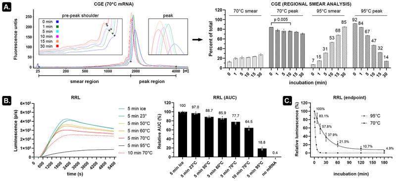 https://cdn.ncbi.nlm.nih.gov/pmc/blobs/56bc/11155706/7b1c23a10487/KRNB_A_2363029_F0001_OC.jpg