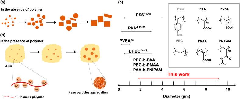 https://cdn.ncbi.nlm.nih.gov/pmc/blobs/56bd/10583160/d58dbf99fbf3/d3ra04791a-f7.jpg
