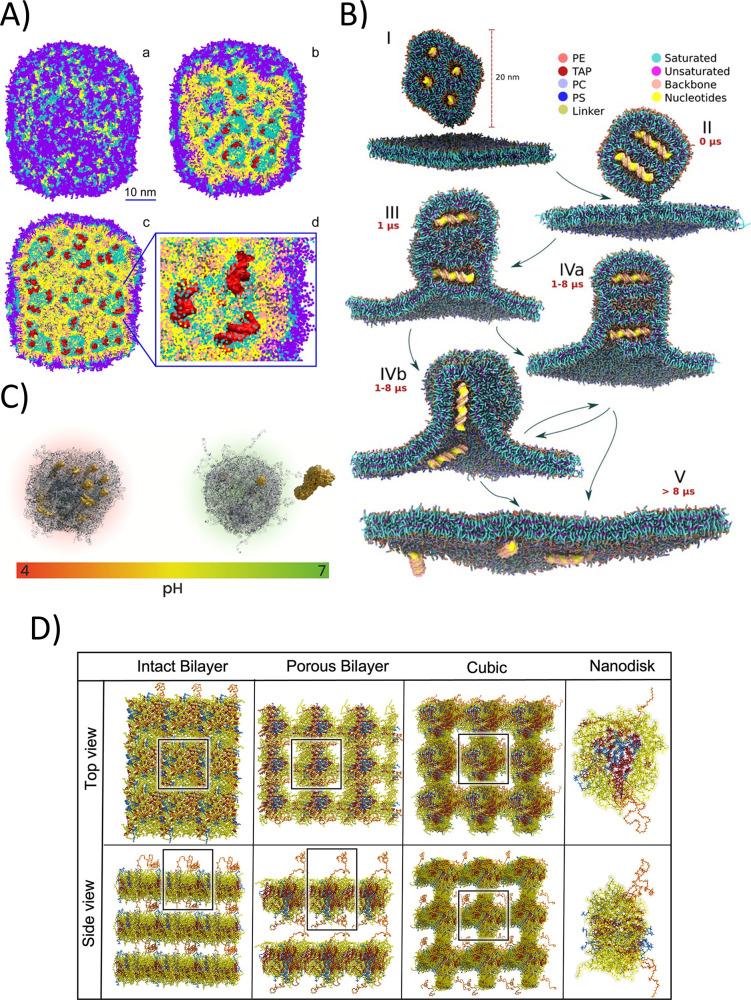 https://cdn.ncbi.nlm.nih.gov/pmc/blobs/56bd/11881150/13730ff0d1a6/mp4c00744_0003.jpg