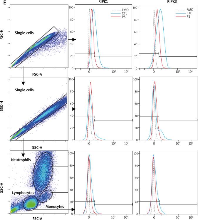 https://cdn.ncbi.nlm.nih.gov/pmc/blobs/56c0/8953862/54da4a5fcbba/PDIA-39-46464-g002.jpg