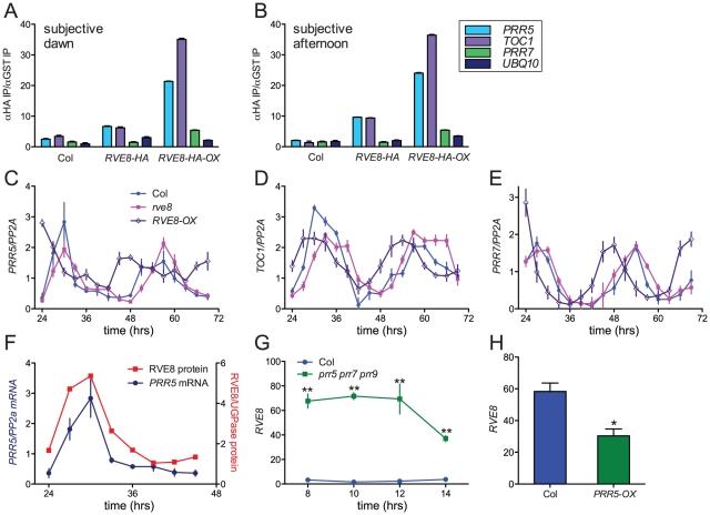 https://cdn.ncbi.nlm.nih.gov/pmc/blobs/56c3/3069099/27e8ba4a41f0/pgen.1001350.g008.jpg
