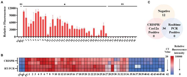 https://cdn.ncbi.nlm.nih.gov/pmc/blobs/56c3/8822122/c755917fd53b/fmicb-13-754995-g005.jpg