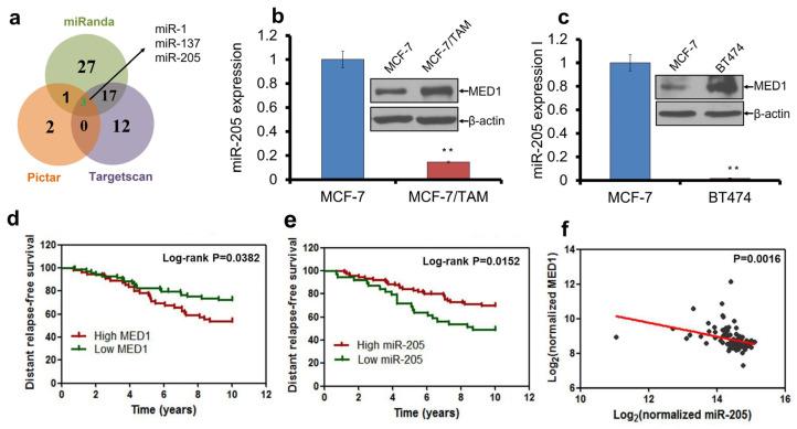 https://cdn.ncbi.nlm.nih.gov/pmc/blobs/56c6/11640040/90212a8c76c3/cancers-16-03992-g001.jpg