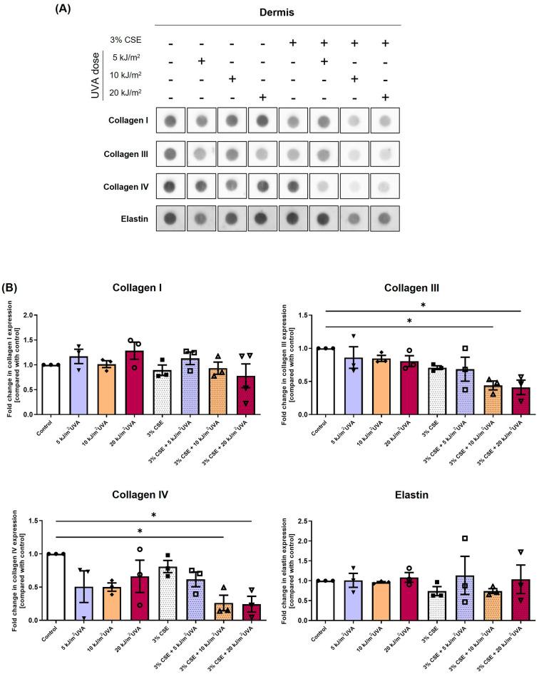 https://cdn.ncbi.nlm.nih.gov/pmc/blobs/56c9/10589246/4c5db9a778cc/41598_2023_44868_Fig5_HTML.jpg