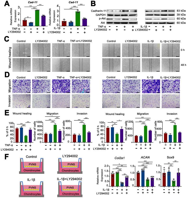 https://cdn.ncbi.nlm.nih.gov/pmc/blobs/56ca/7482803/98875f2af4da/thnov10p10573g007.jpg