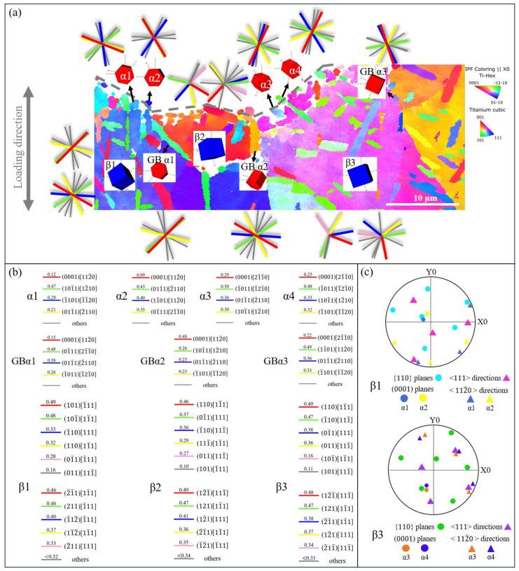 https://cdn.ncbi.nlm.nih.gov/pmc/blobs/56cb/11767169/4b78b2fe0784/materials-18-00336-g010.jpg