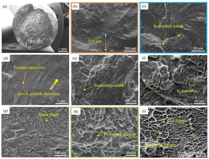 https://cdn.ncbi.nlm.nih.gov/pmc/blobs/56cb/11767169/de3a8d80afcc/materials-18-00336-g006.jpg