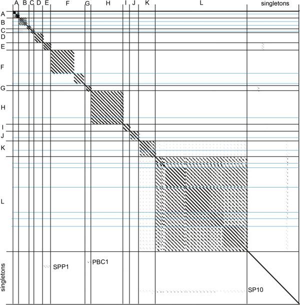 https://cdn.ncbi.nlm.nih.gov/pmc/blobs/56cc/4197329/4cfe435df430/12864_2014_6539_Fig4_HTML.jpg