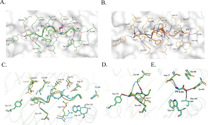 https://cdn.ncbi.nlm.nih.gov/pmc/blobs/56cf/9973275/596c38d73f30/mbio.02666-22-f006.jpg
