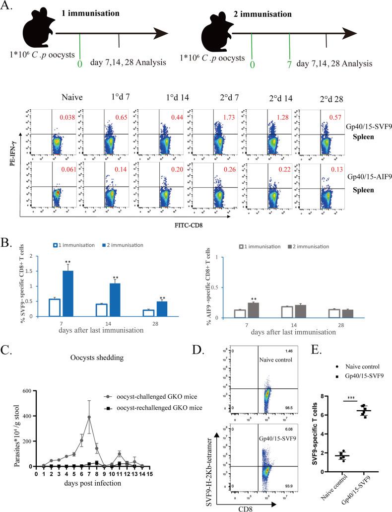 https://cdn.ncbi.nlm.nih.gov/pmc/blobs/56cf/9973275/703b845dc79b/mbio.02666-22-f002.jpg