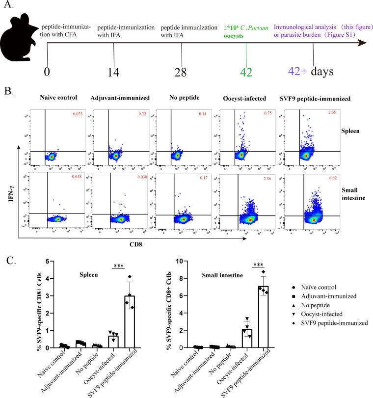 https://cdn.ncbi.nlm.nih.gov/pmc/blobs/56cf/9973275/9b8e39781a54/mbio.02666-22-f003.jpg