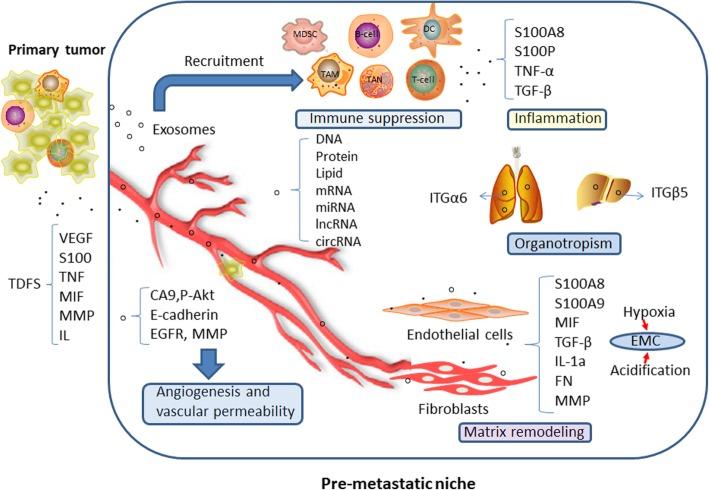 https://cdn.ncbi.nlm.nih.gov/pmc/blobs/56d0/6413442/e45836aedfd3/12943_2019_995_Fig3_HTML.jpg