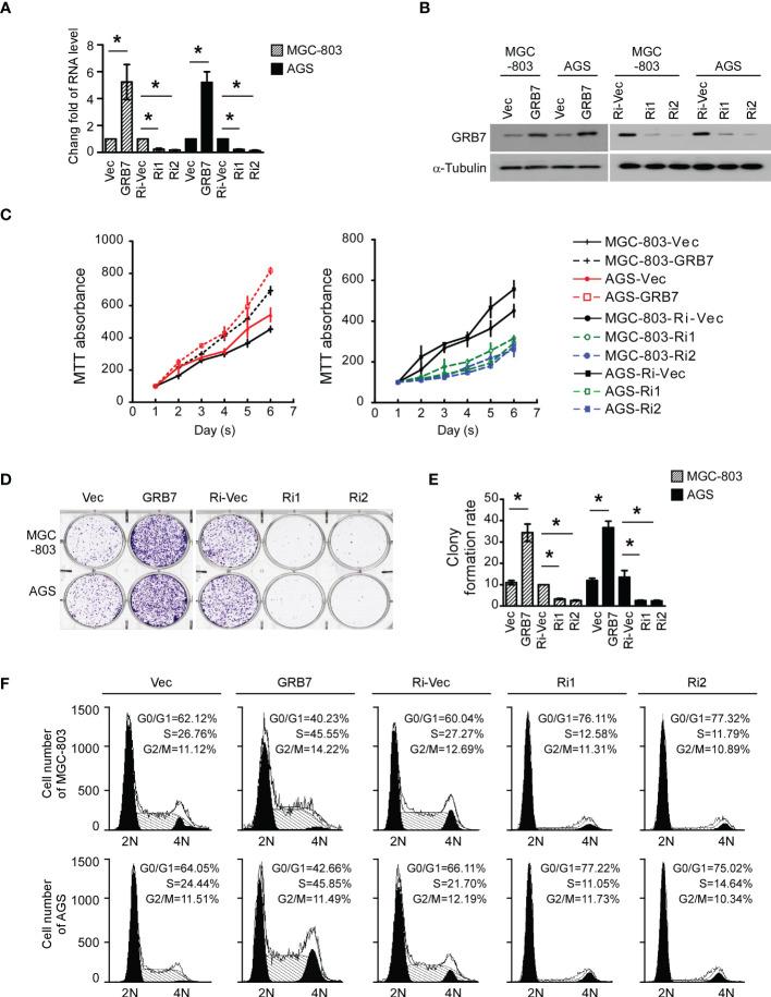 https://cdn.ncbi.nlm.nih.gov/pmc/blobs/56d1/9846623/f9408d764589/fonc-12-1054976-g004.jpg