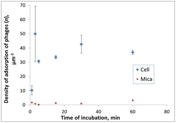 https://cdn.ncbi.nlm.nih.gov/pmc/blobs/56d3/3469531/58dd24469602/pone.0047348.g007.jpg