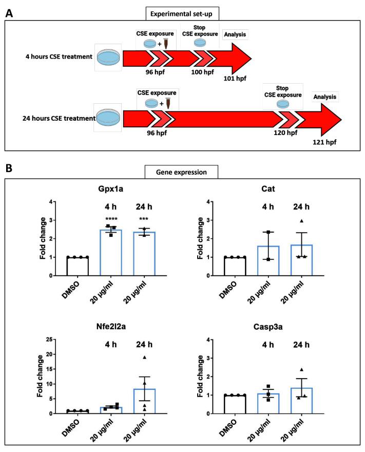 https://cdn.ncbi.nlm.nih.gov/pmc/blobs/56d6/10822044/bd093f081014/openreseurope-3-18209-g0004.jpg