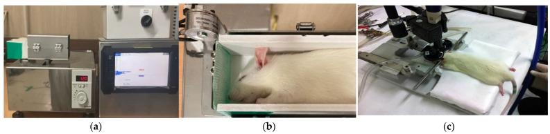 https://cdn.ncbi.nlm.nih.gov/pmc/blobs/56d6/11270180/cb6b51ba0382/neurolint-16-00052-g001.jpg