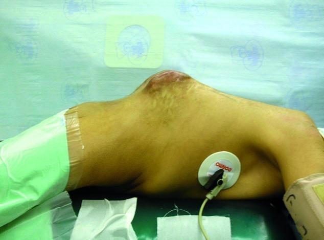 https://cdn.ncbi.nlm.nih.gov/pmc/blobs/56d7/3427965/05f7e84c236d/ebsj02017-1.jpg