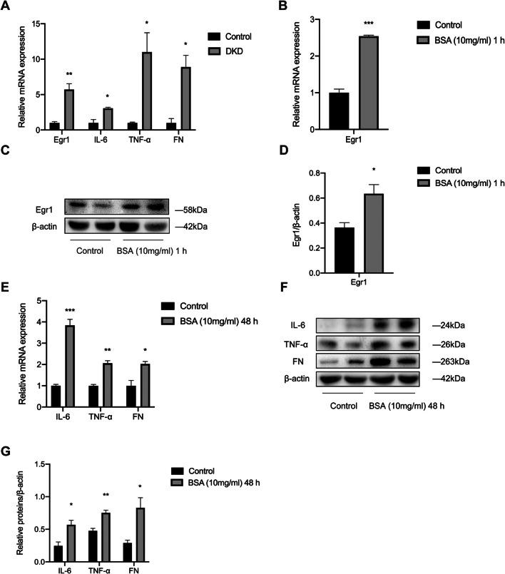 https://cdn.ncbi.nlm.nih.gov/pmc/blobs/56d7/8585819/05c8a7283677/11626_2021_606_Fig1_HTML.jpg