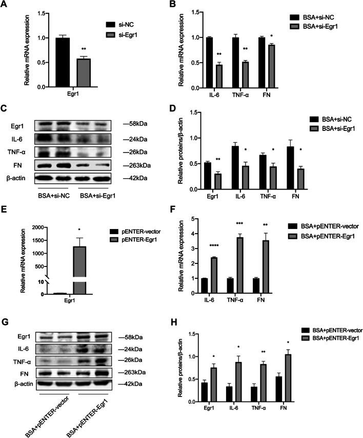 https://cdn.ncbi.nlm.nih.gov/pmc/blobs/56d7/8585819/f9985a9d4731/11626_2021_606_Fig2_HTML.jpg