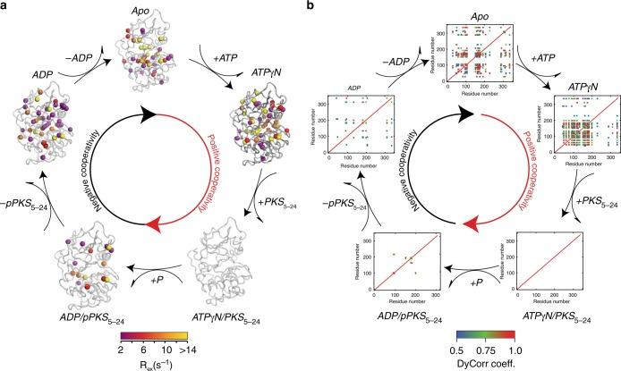 https://cdn.ncbi.nlm.nih.gov/pmc/blobs/56d8/6379427/4e2dcb0d5f4d/41467_2019_8655_Fig5_HTML.jpg
