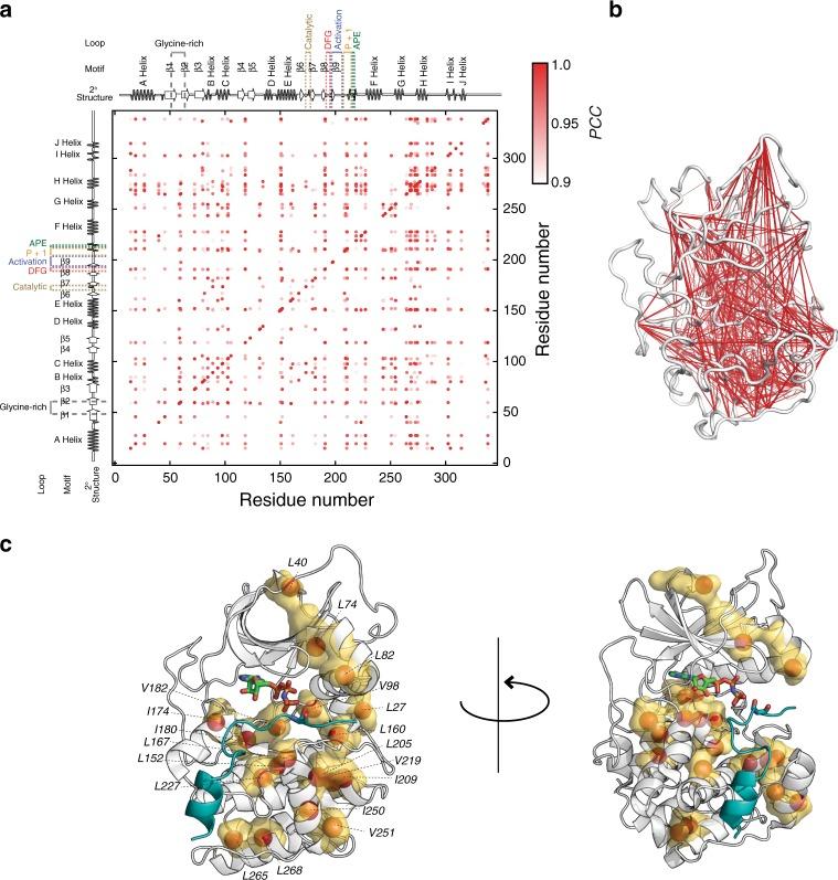 https://cdn.ncbi.nlm.nih.gov/pmc/blobs/56d8/6379427/9b02e1c5f5ba/41467_2019_8655_Fig3_HTML.jpg