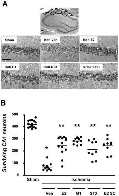 https://cdn.ncbi.nlm.nih.gov/pmc/blobs/56d9/2799530/5c79d9527f97/pone.0008642.g004.jpg