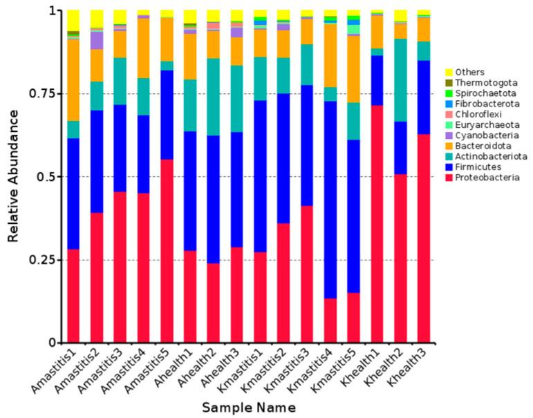 https://cdn.ncbi.nlm.nih.gov/pmc/blobs/56db/12196136/648fd65c8421/microorganisms-13-01394-g001.jpg
