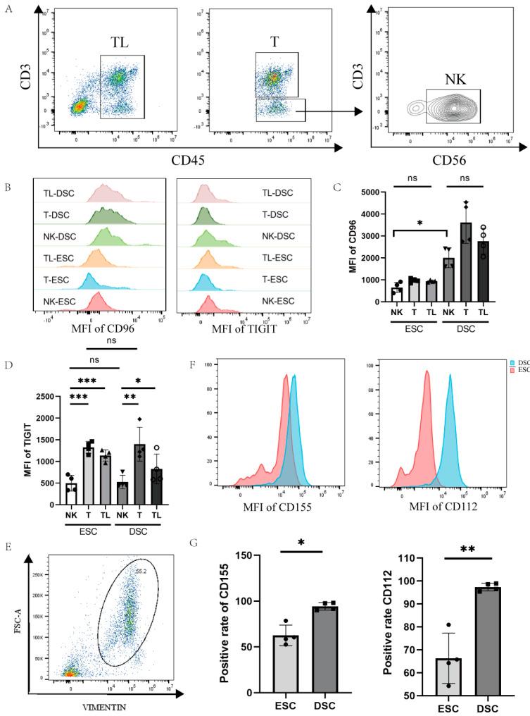 https://cdn.ncbi.nlm.nih.gov/pmc/blobs/56dd/10525720/97a590ea2922/bioengineering-10-01008-g002.jpg