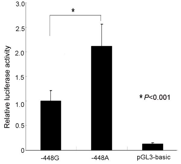 https://cdn.ncbi.nlm.nih.gov/pmc/blobs/56dd/2829483/8ca3532d0b14/1741-7015-8-12-1.jpg
