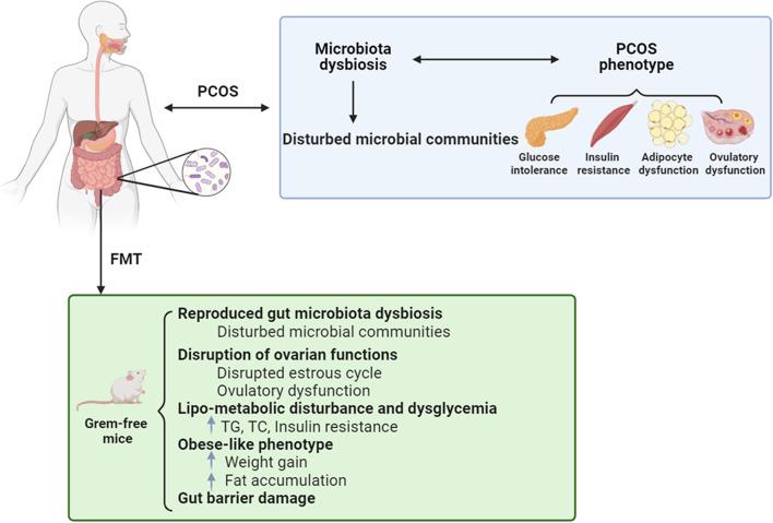 https://cdn.ncbi.nlm.nih.gov/pmc/blobs/56de/11437718/1aeaed56b809/12866_2024_3513_Fig6_HTML.jpg